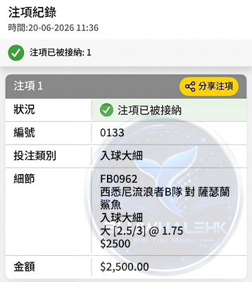 投注真飛