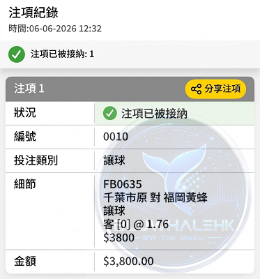投注真飛
