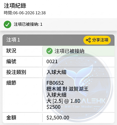 投注真飛