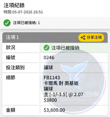 投注真飛