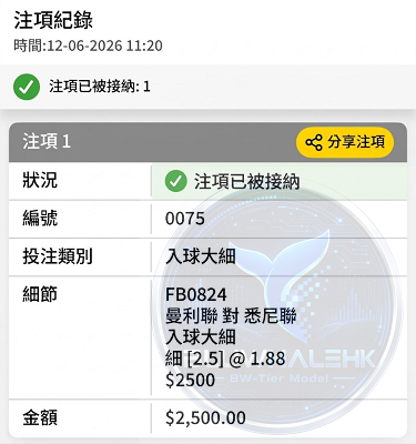投注真飛