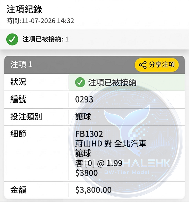 投注真飛